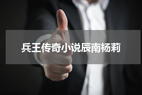 兵王传奇小说辰南杨莉