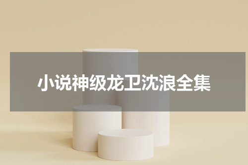 小说神级龙卫沈浪全集