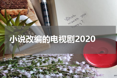 小说改编的电视剧2020