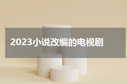 2023小说改编的电视剧