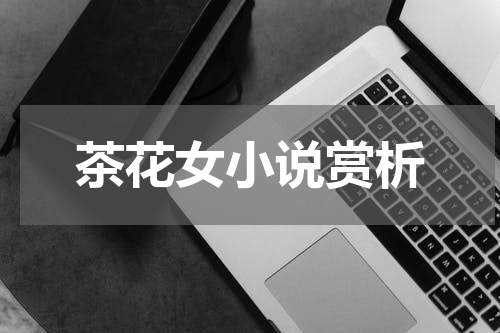 茶花女小说赏析