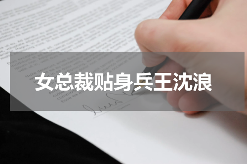 女总裁贴身兵王沈浪