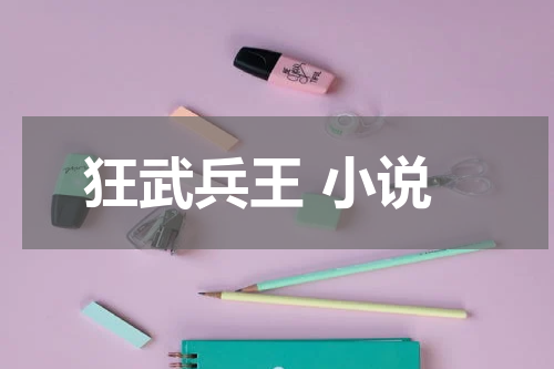 狂武兵王 小说