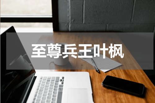 至尊兵王叶枫