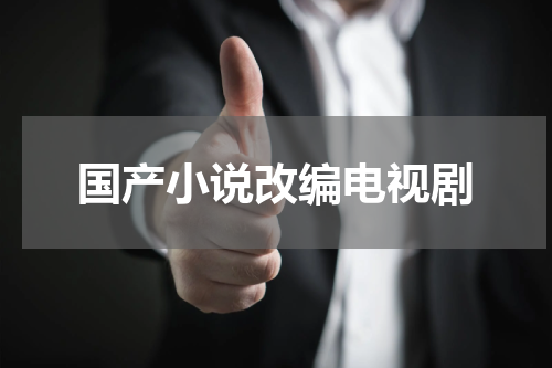 国产小说改编电视剧