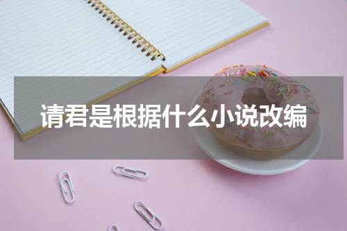 请君是根据什么小说改编