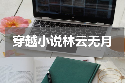 穿越小说林云无月