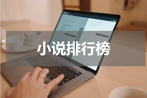 小说排行榜
