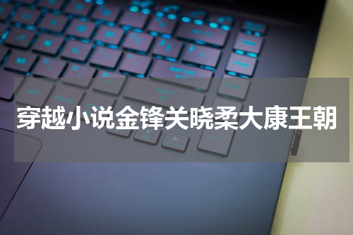 穿越小说金锋关晓柔大康王朝