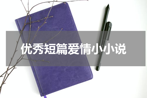 优秀短篇爱情小小说