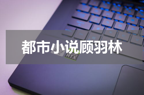 都市小说顾羽林