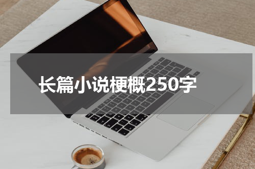 长篇小说梗概250字