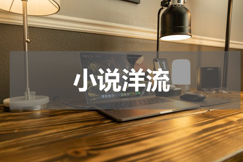 小说洋流