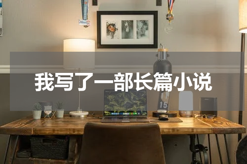 我写了一部长篇小说