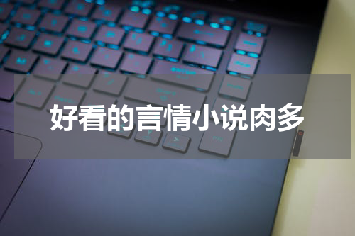 好看的言情小说肉多