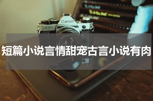 短篇小说言情甜宠古言小说有肉