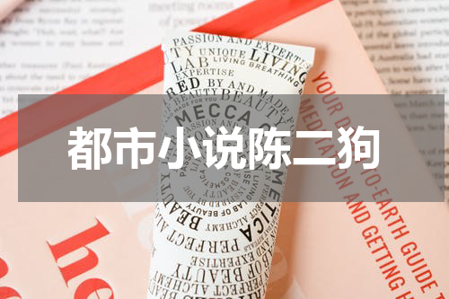 都市小说陈二狗