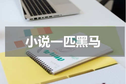 小说一匹黑马