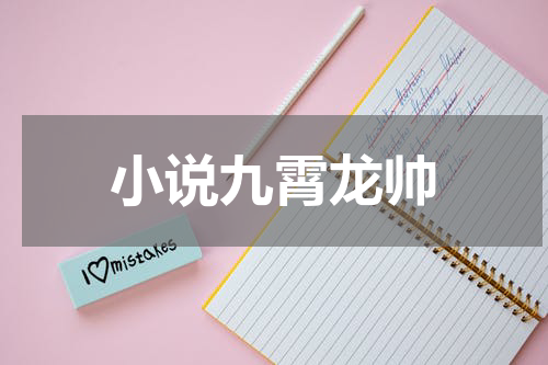 小说九霄龙帅