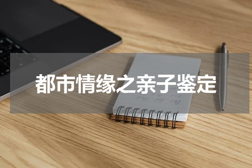 都市情缘之亲子鉴定