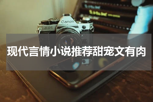 现代言情小说推荐甜宠文有肉