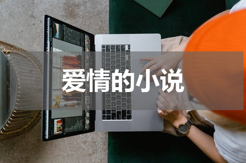 爱情的小说