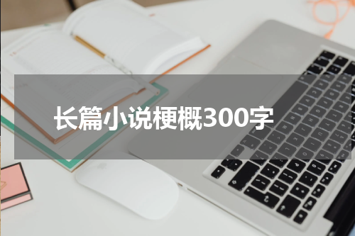 长篇小说梗概300字