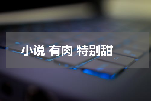 小说 有肉 特别甜