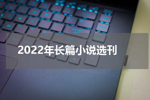 2022年长篇小说选刊