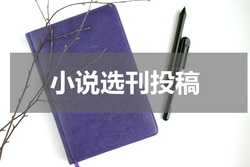 小说选刊投稿