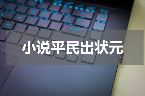 小说平民出状元