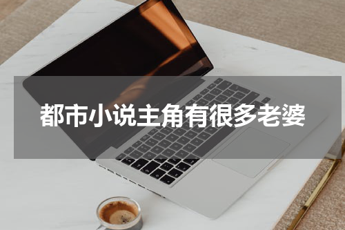 都市小说主角有很多老婆