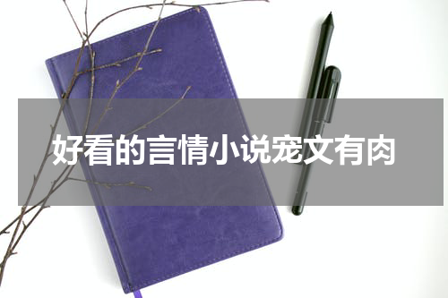 好看的言情小说宠文有肉