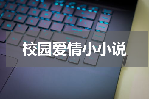 校园爱情小小说