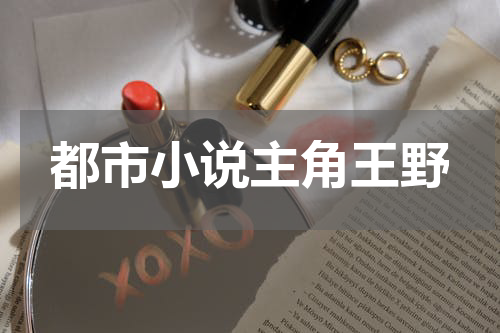 都市小说主角王野