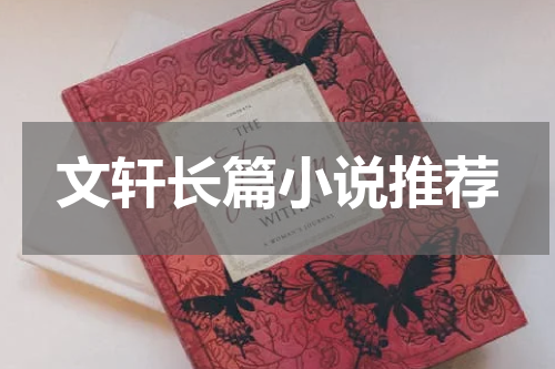 文轩长篇小说推荐