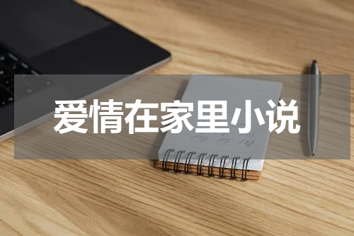 爱情在家里小说