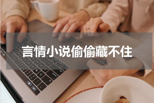 言情小说偷偷藏不住