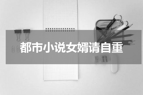 都市小说女婿请自重