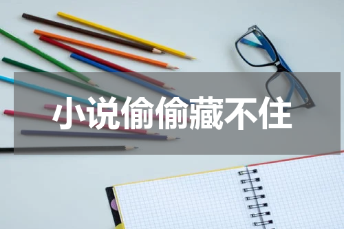 小说偷偷藏不住