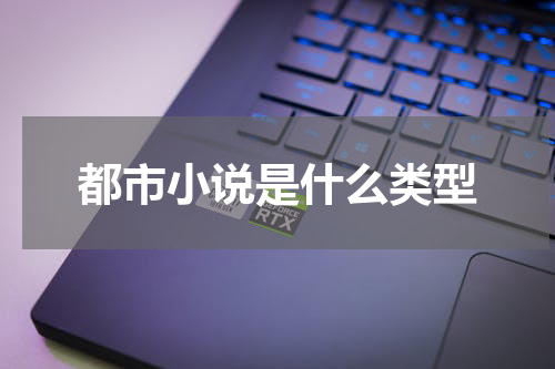 都市小说是什么类型