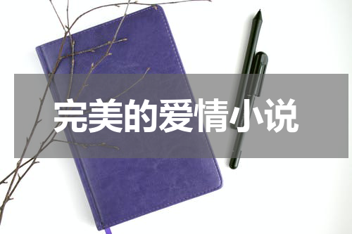 完美的爱情小说