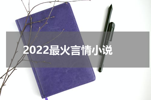 2022最火言情小说