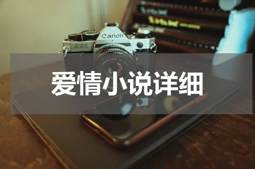 爱情小说详细