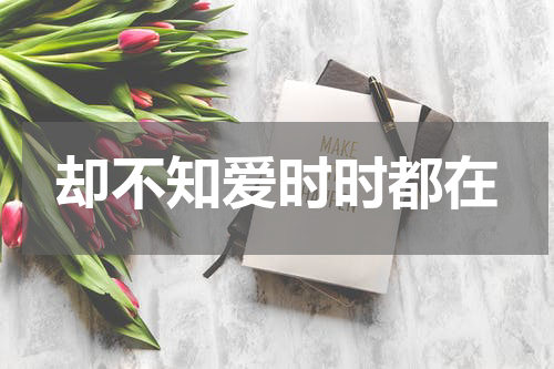 却不知爱时时都在