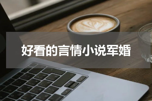 好看的言情小说军婚