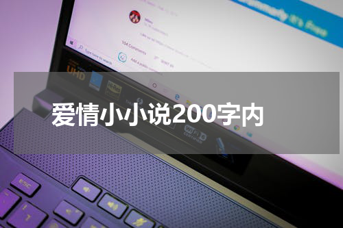 爱情小小说200字内