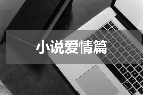 小说爱情篇