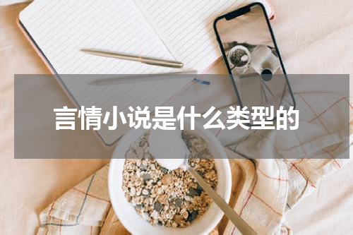 言情小说是什么类型的