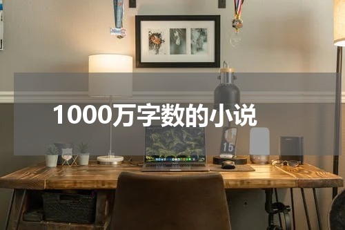 1000万字数的小说